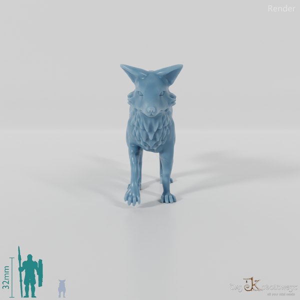 Fuchs - Neugieriger Fuchs 02