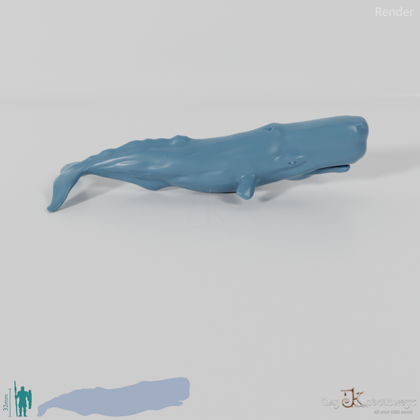 Whale - sperm whale 01