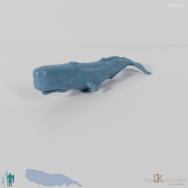 Whale - sperm whale 01