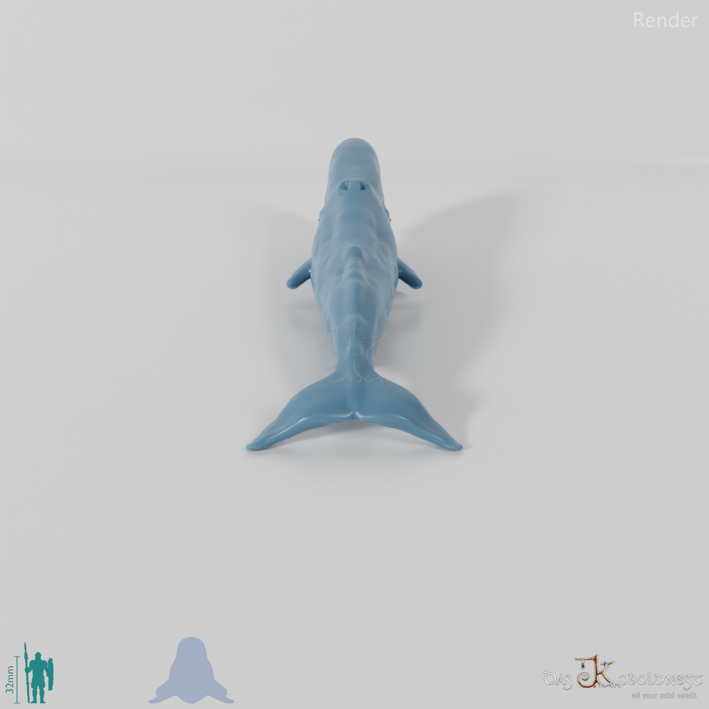 Whale - sperm whale 01