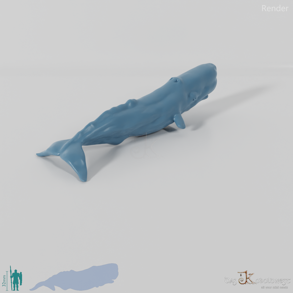 Whale - sperm whale 01
