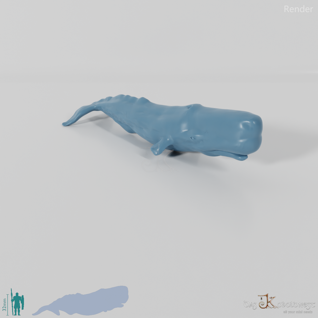 Whale - sperm whale 01