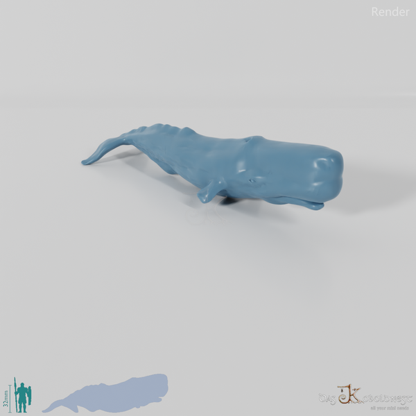 Whale - sperm whale 01