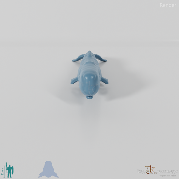 Whale - sperm whale 01