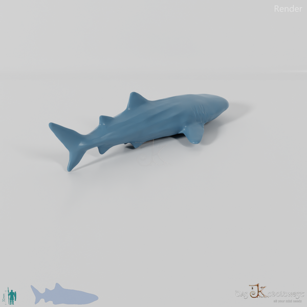 Shark - Whale Shark 01