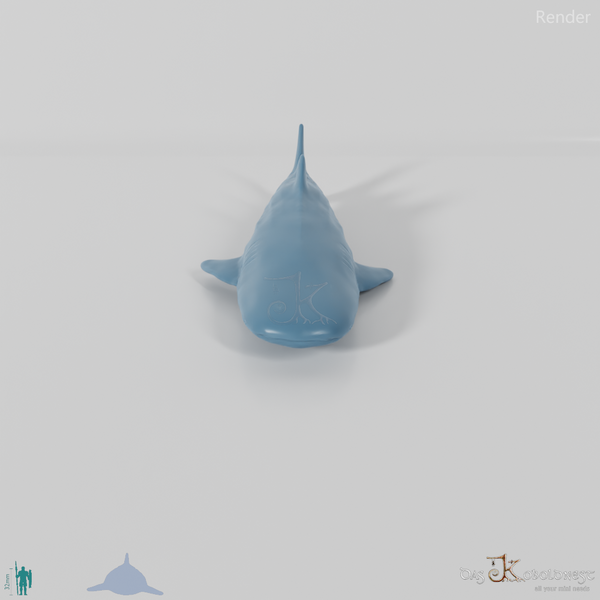 Shark - Whale Shark 01