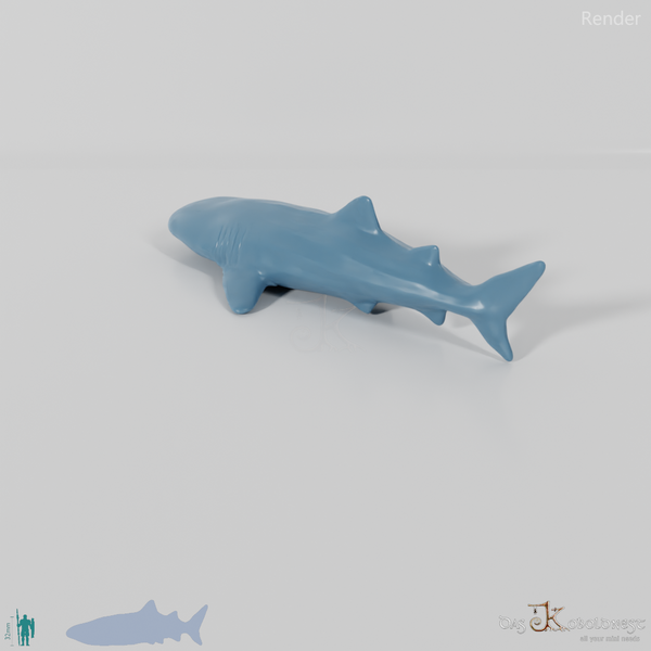 Shark - Whale Shark 01