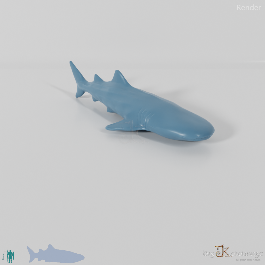 Shark - Whale Shark 01