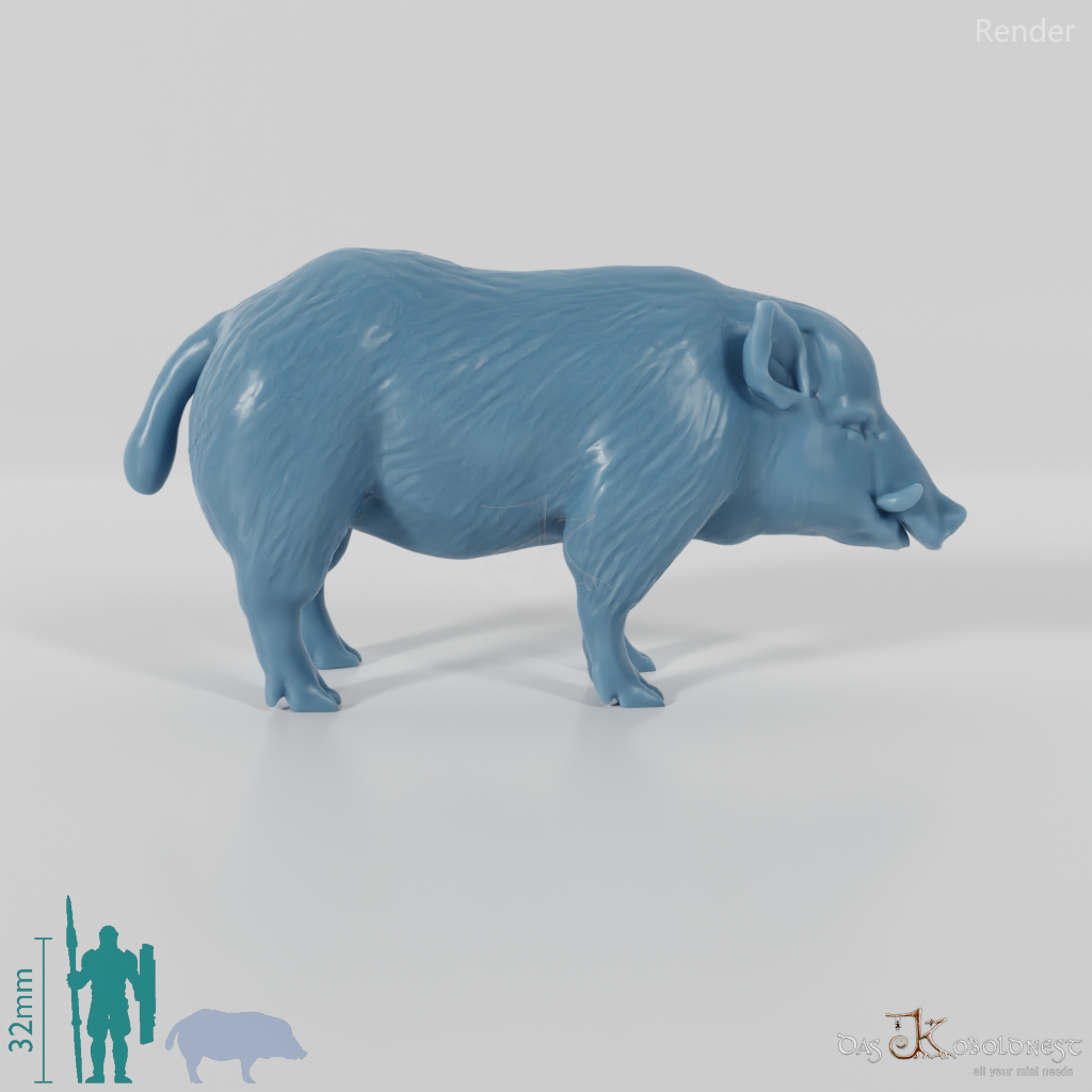 Wild Boar - Wild Boar 01