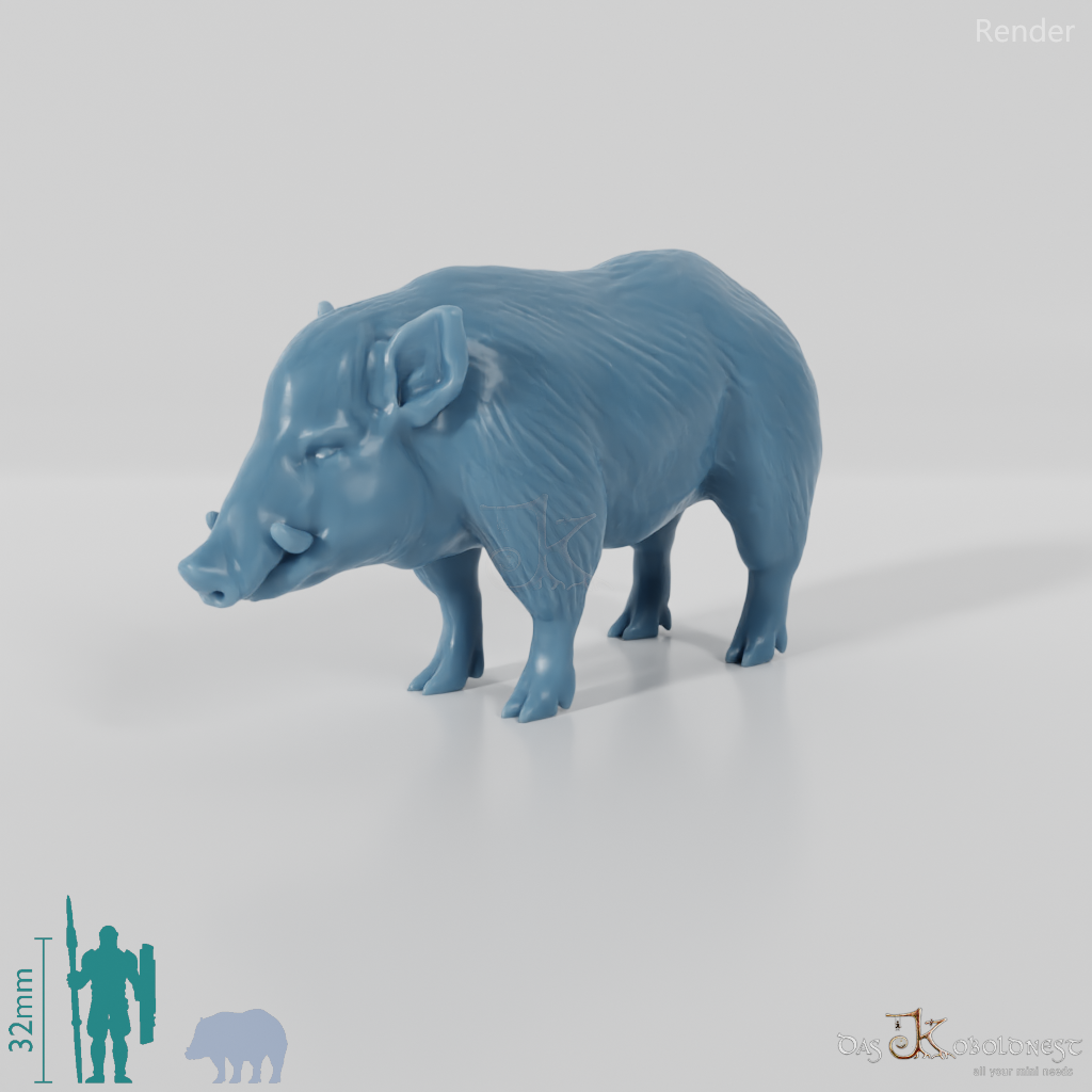 Wild Boar - Wild Boar 01