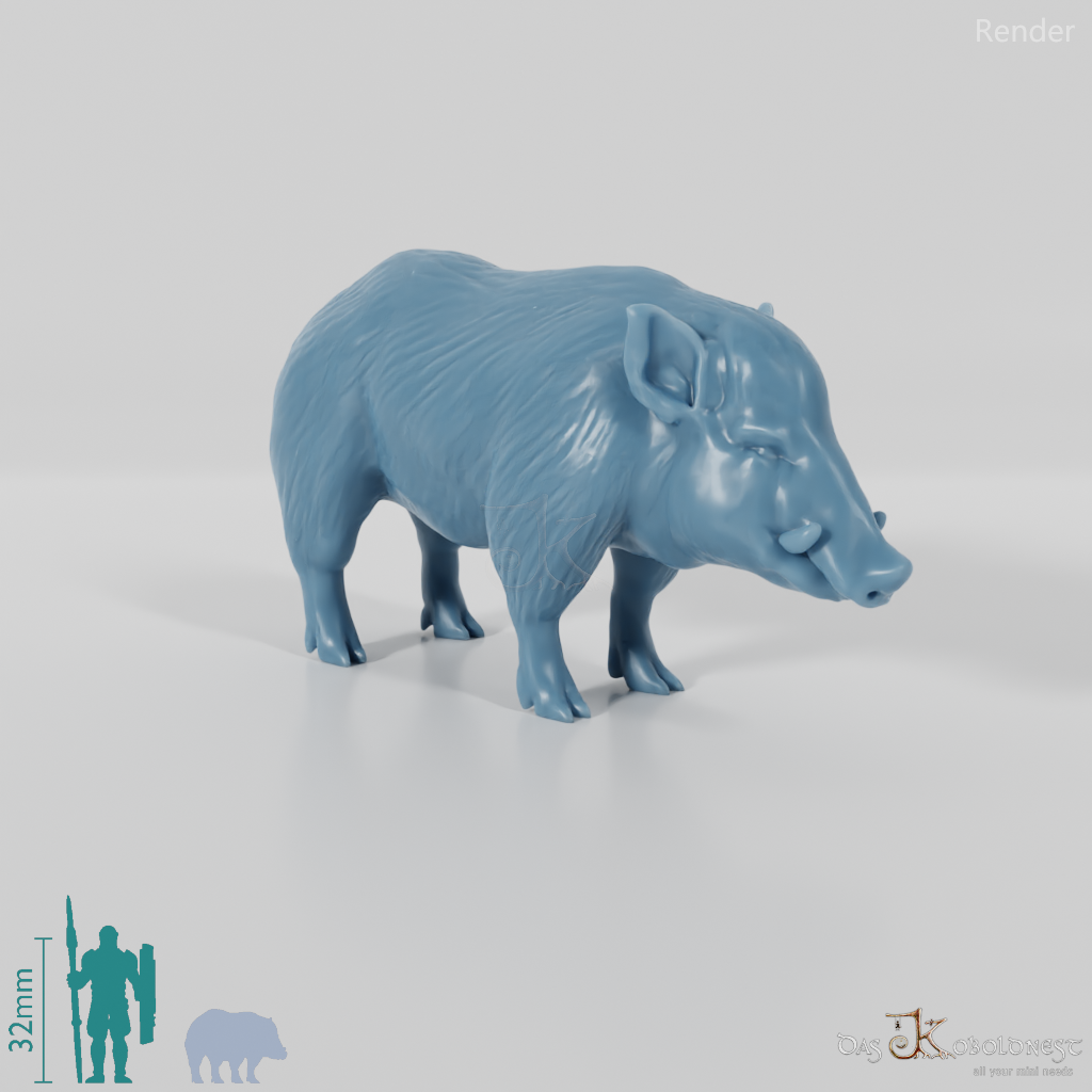 Wild Boar - Wild Boar 01