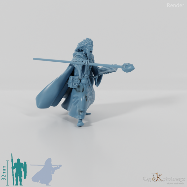 Zauberer mit Stab und Buch