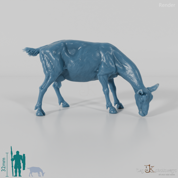 Goat - Mountain Goat 03