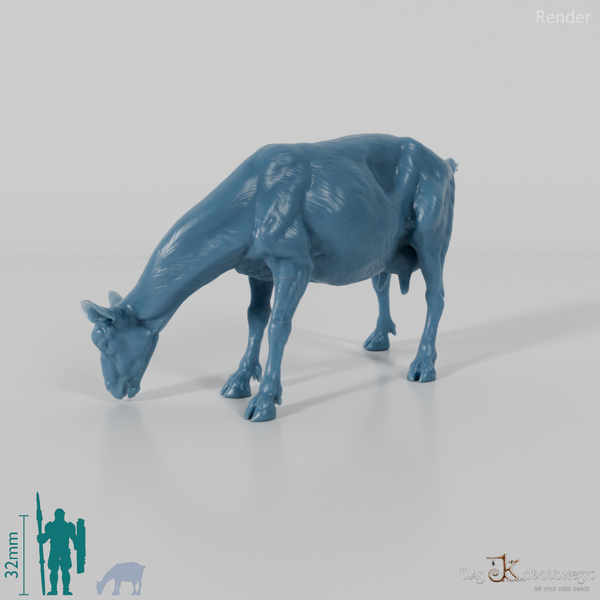 Goat - Mountain Goat 03