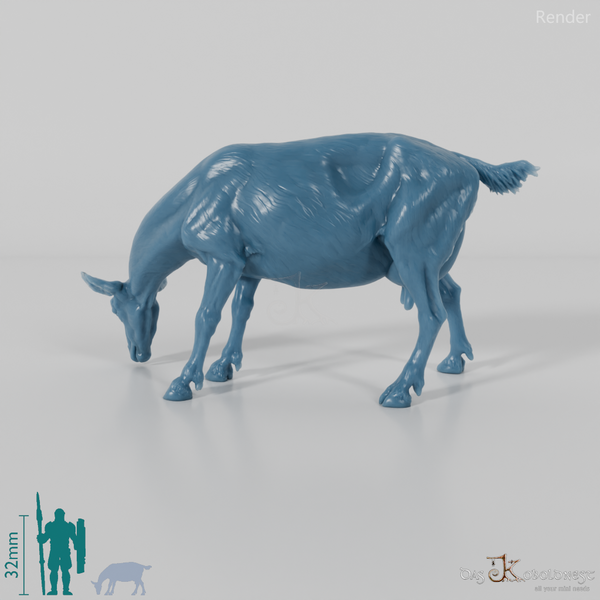 Goat - Mountain Goat 03