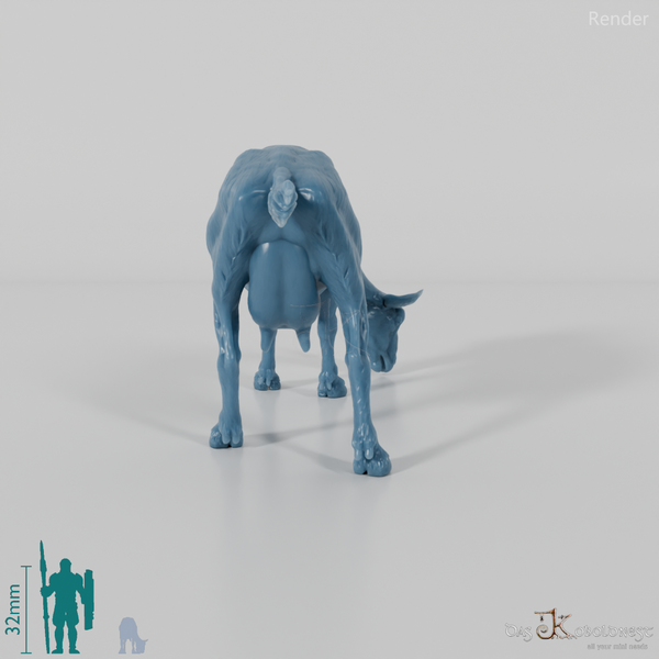 Goat - Mountain Goat 03