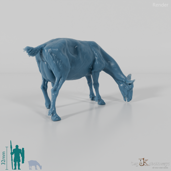 Goat - Mountain Goat 03