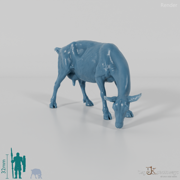 Goat - Mountain Goat 03