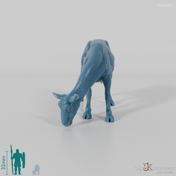 Goat - Mountain Goat 03