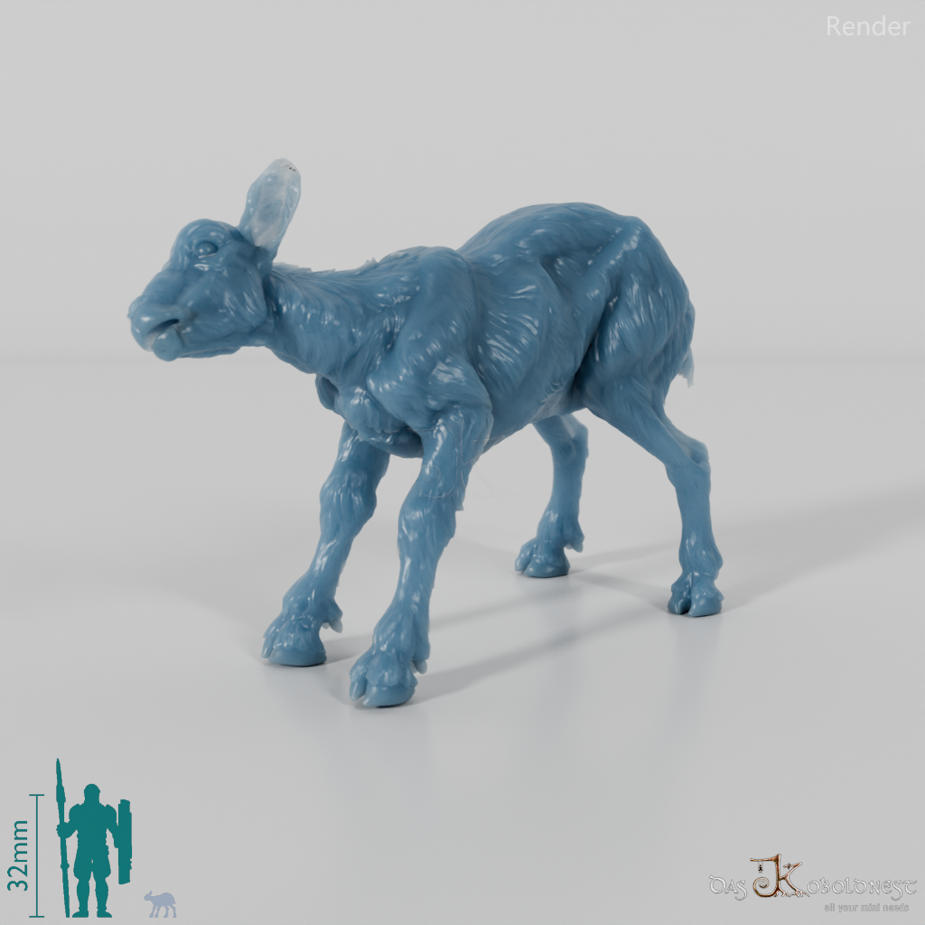 Goat - Mountain Goat - Fawn 01