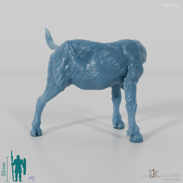 Goat - Mountain Goat - Fawn 02