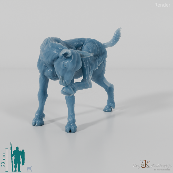 Goat - Mountain Goat - Fawn 02