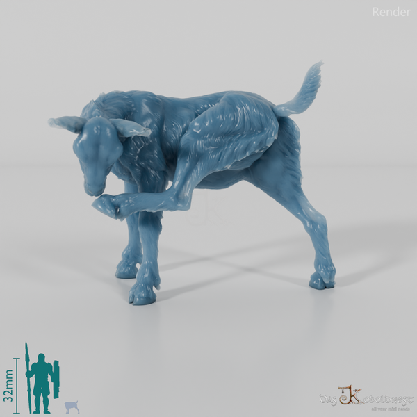 Goat - Mountain Goat - Fawn 02