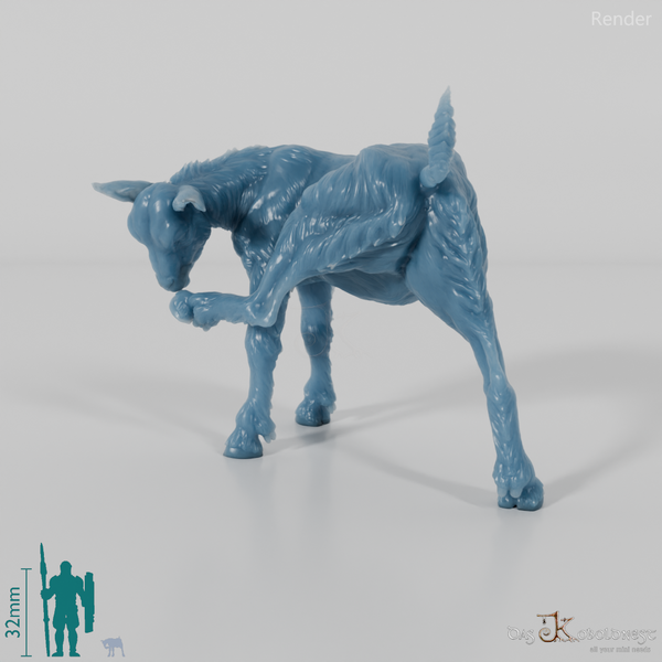 Goat - Mountain Goat - Fawn 02