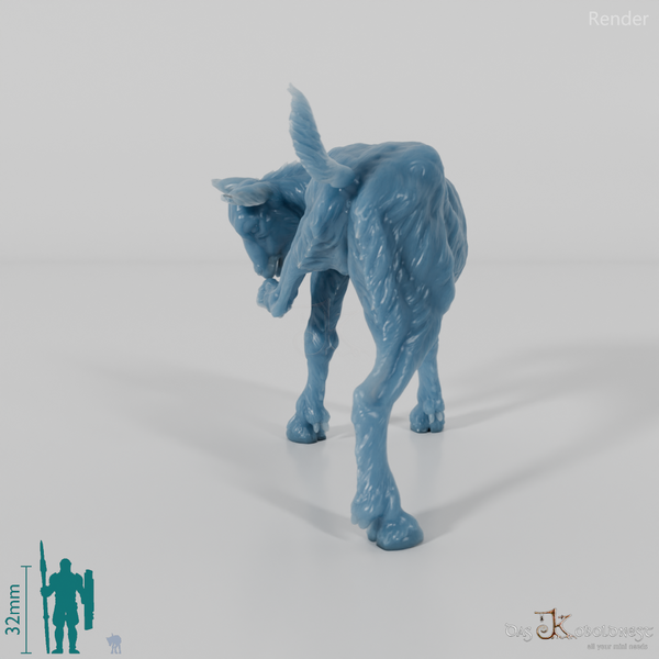 Goat - Mountain Goat - Fawn 02