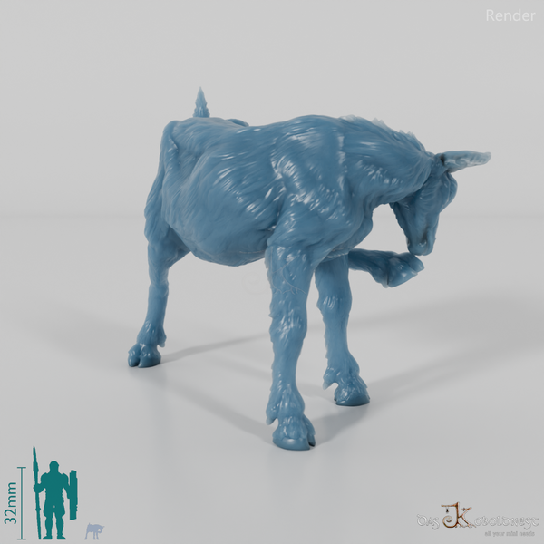 Goat - Mountain Goat - Fawn 02