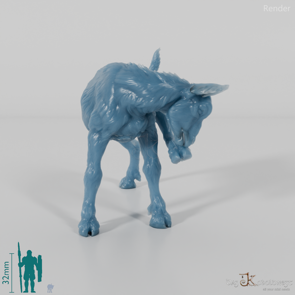 Goat - Mountain Goat - Fawn 02