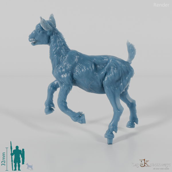 Goat - Mountain Goat - Fawn 03