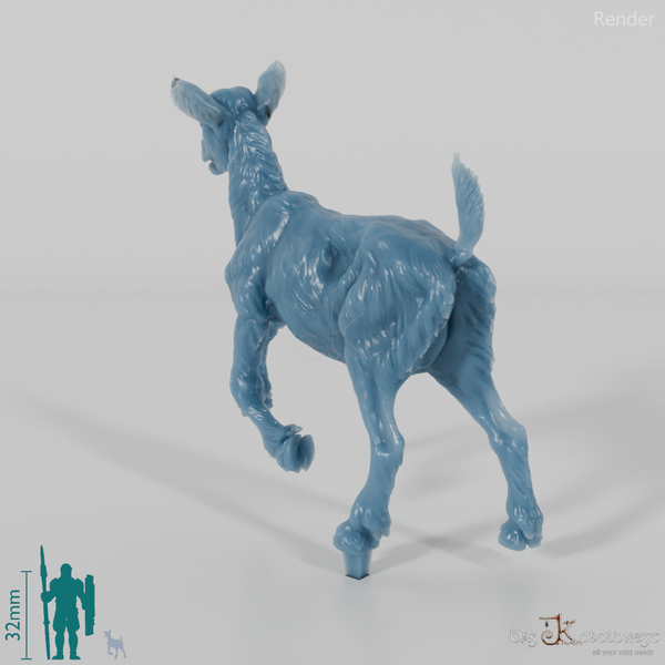 Goat - Mountain Goat - Fawn 03