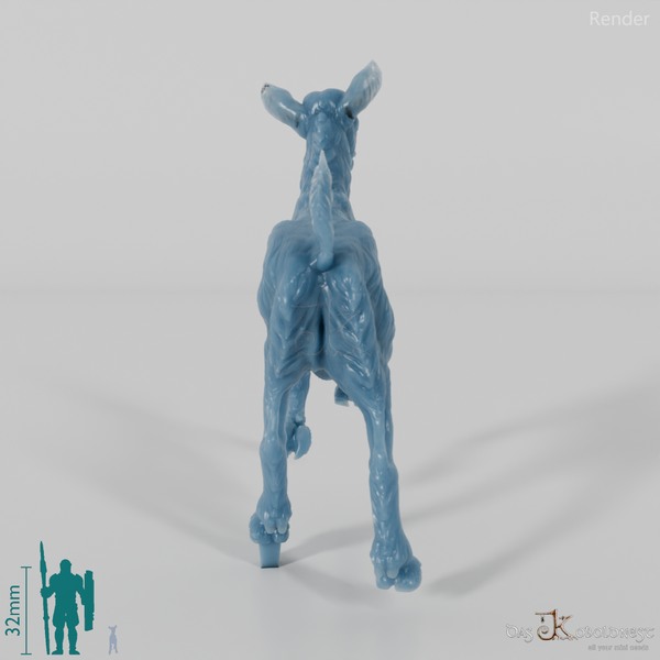 Goat - Mountain Goat - Fawn 03