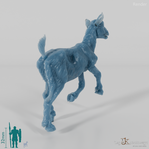 Goat - Mountain Goat - Fawn 03