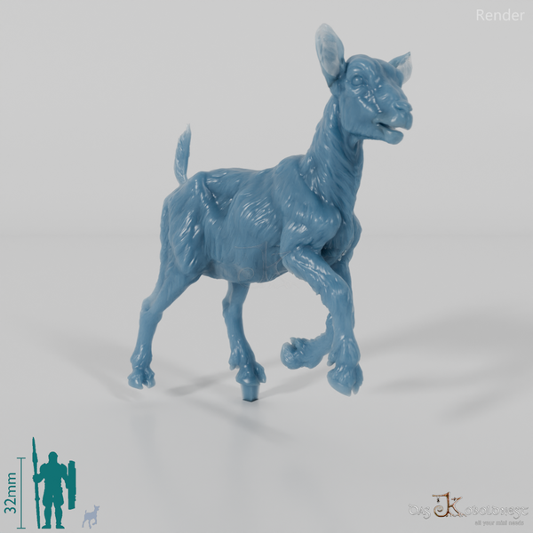 Goat - Mountain Goat - Fawn 03