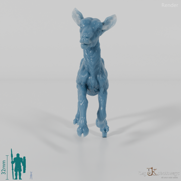 Goat - Mountain Goat - Fawn 03