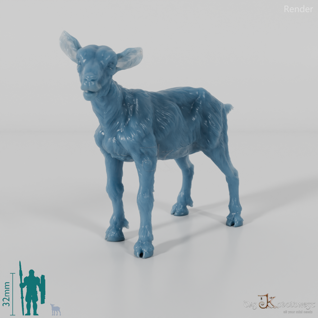 Goat - Mountain Goat - Fawn 05