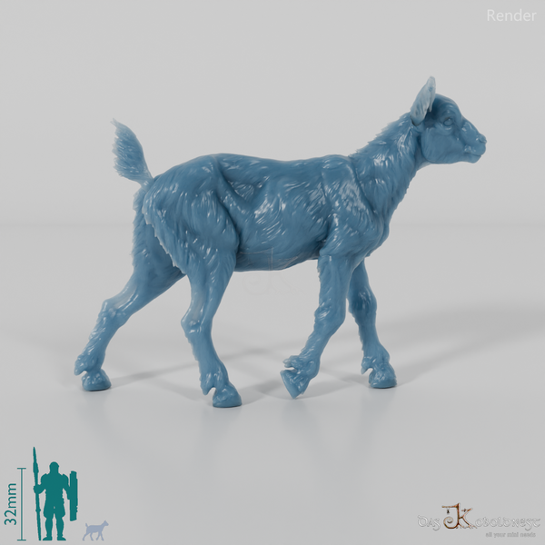 Goat - Mountain Goat - Fawn 06