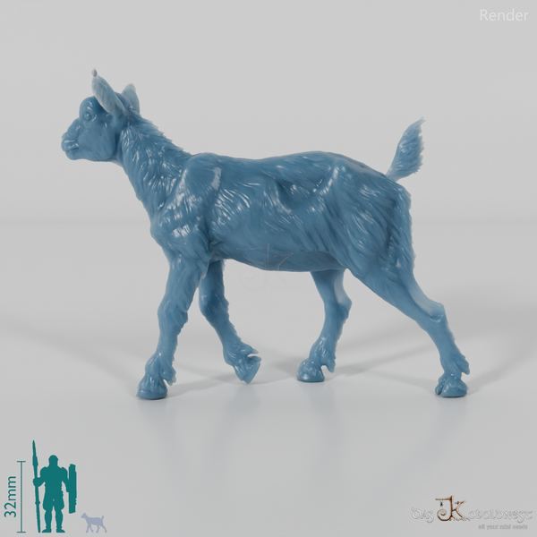 Goat - Mountain Goat - Fawn 06