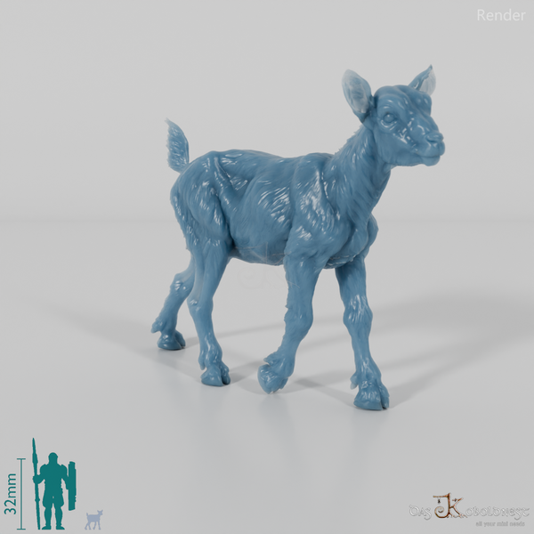 Goat - Mountain Goat - Fawn 06