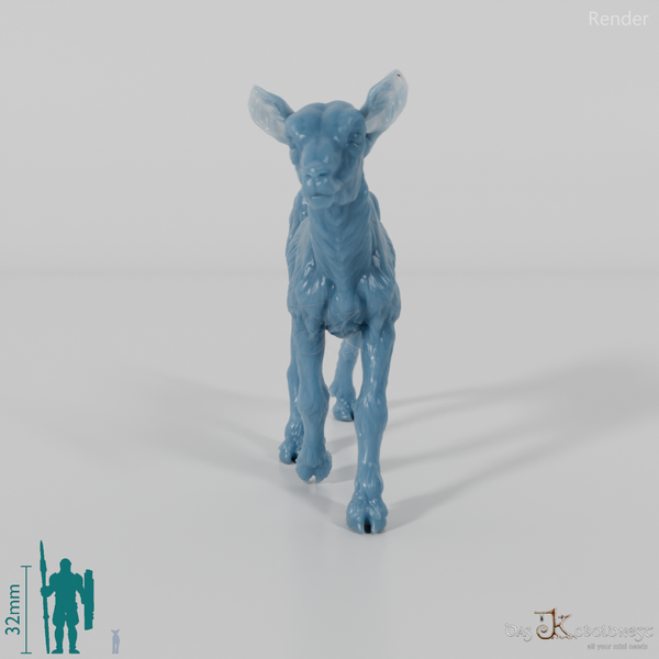 Goat - Mountain Goat - Fawn 06