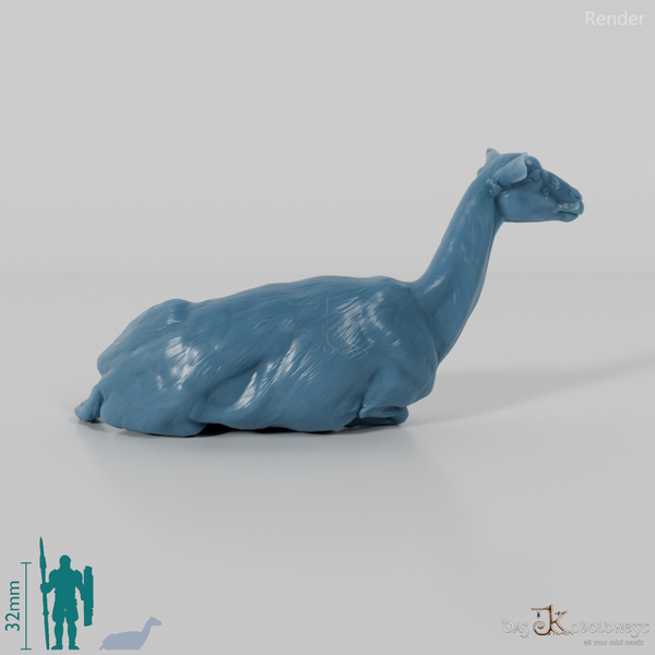 Goat - Mountain Goat 04