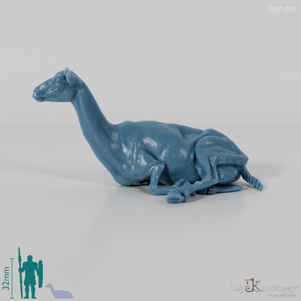 Goat - Mountain Goat 04