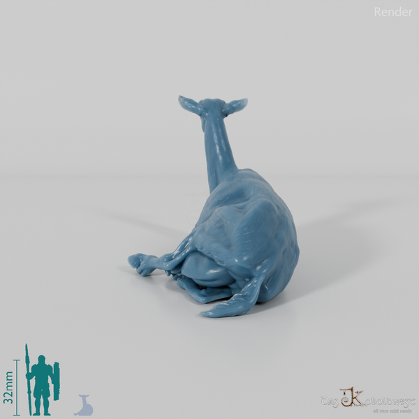 Goat - Mountain Goat 04