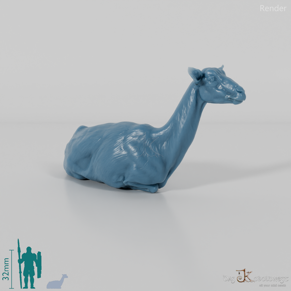 Goat - Mountain Goat 04