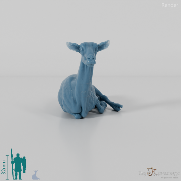 Goat - Mountain Goat 04