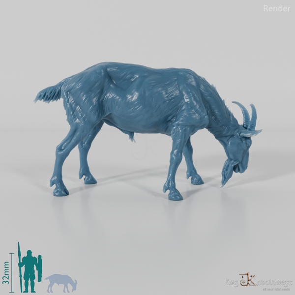 Goat - mountain goat - billy goat 02