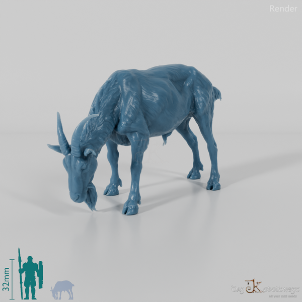 Goat - mountain goat - billy goat 02