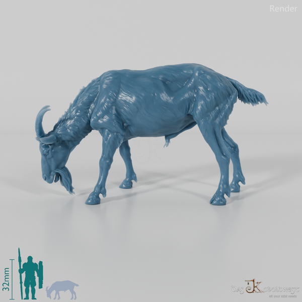 Goat - mountain goat - billy goat 02